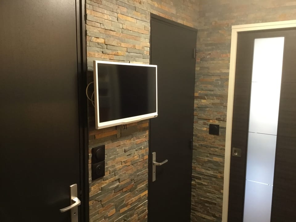 Television