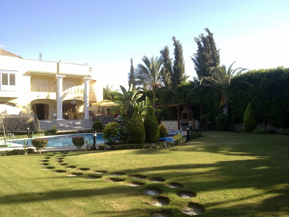 Back view