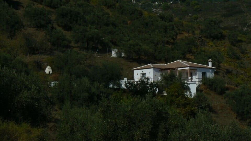 Outside View