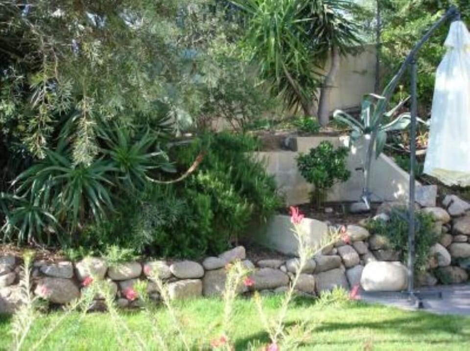 Garden, Park