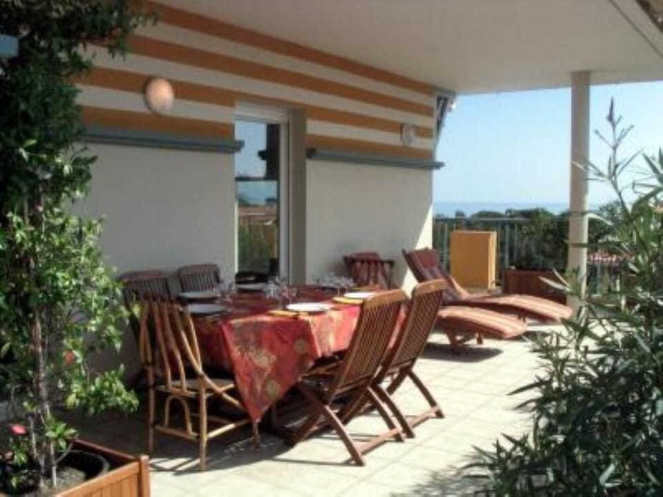 Terrace / roof garden