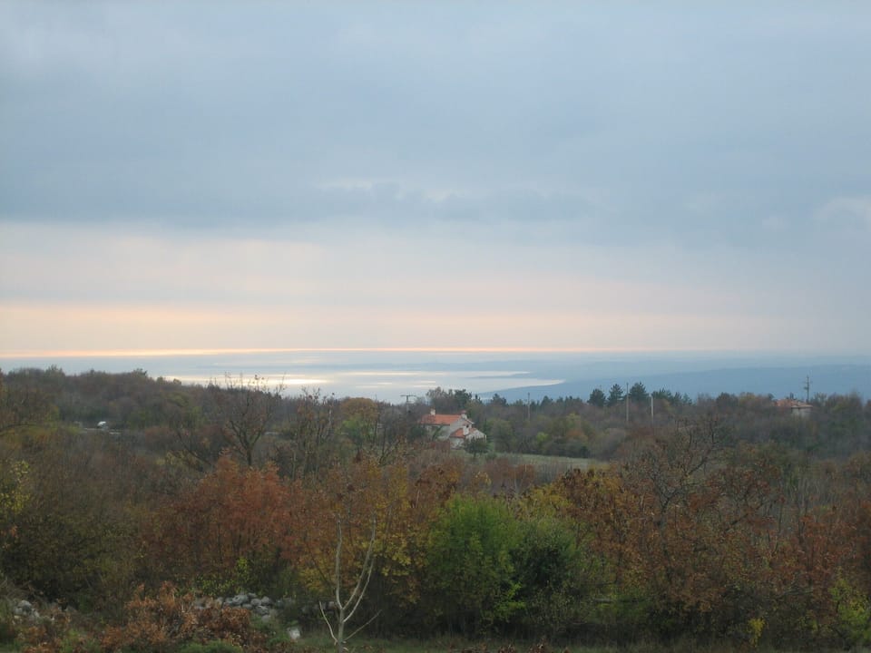 View from house