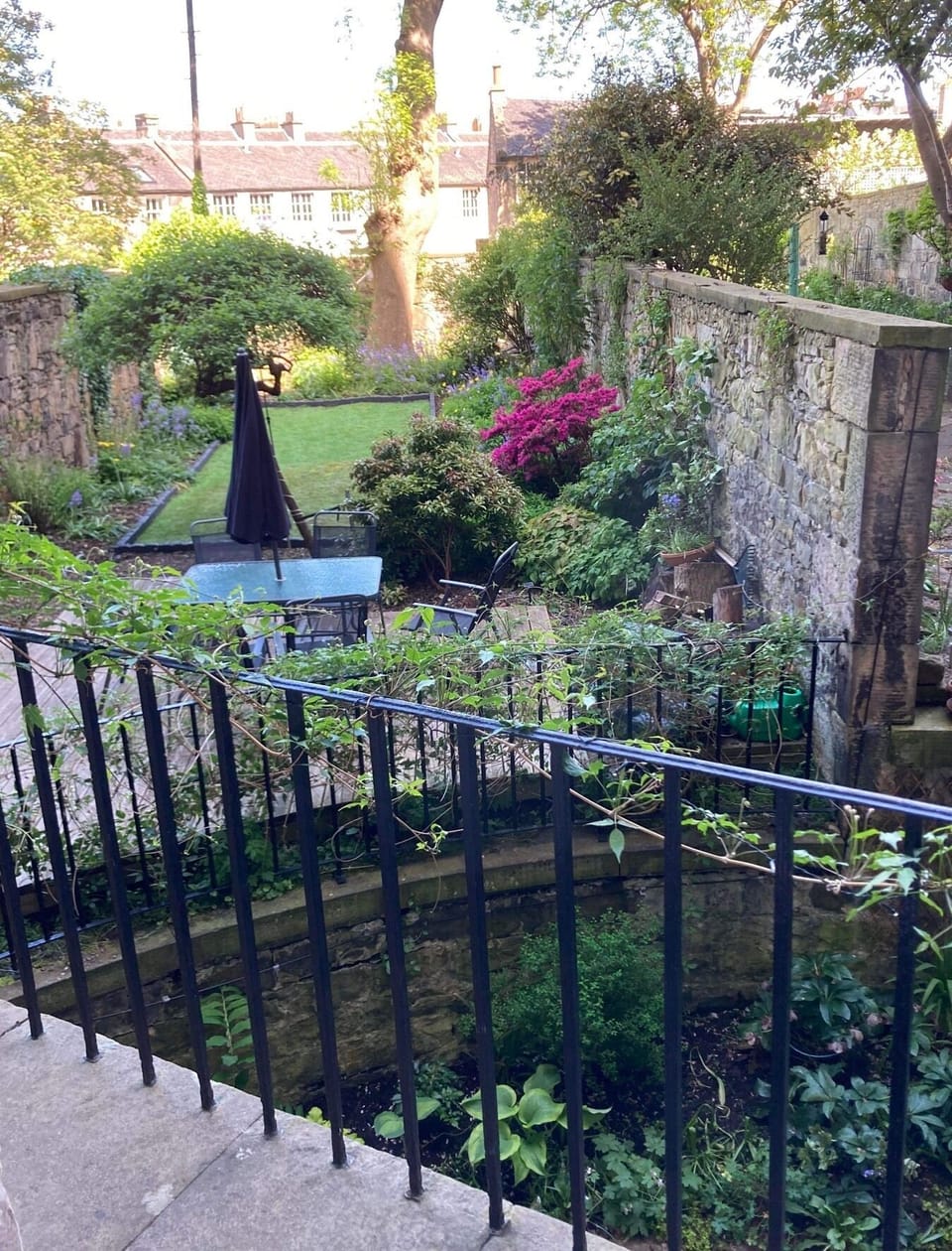 Back garden