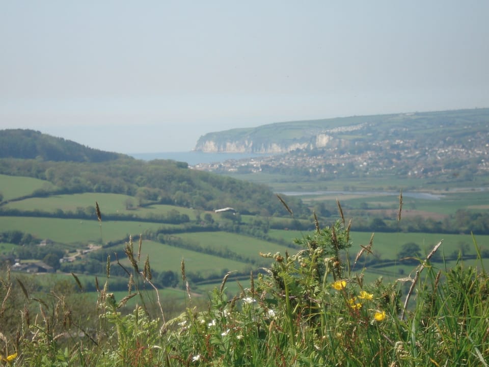 Beer cliffs from Musbury Castle (1.5 km away)