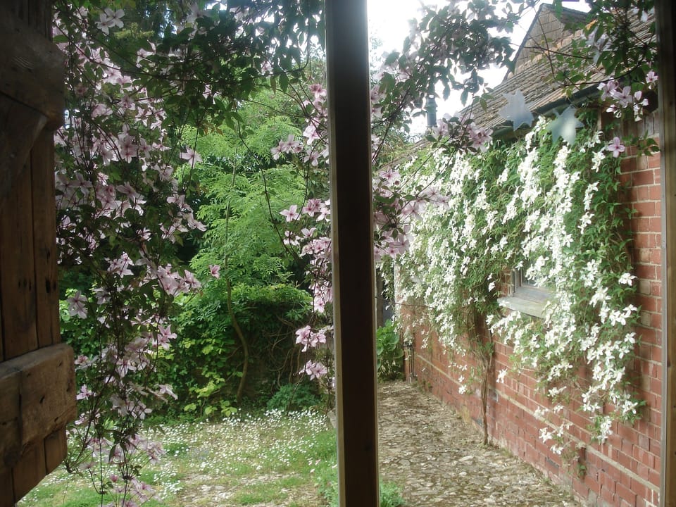 The yard from the Byre