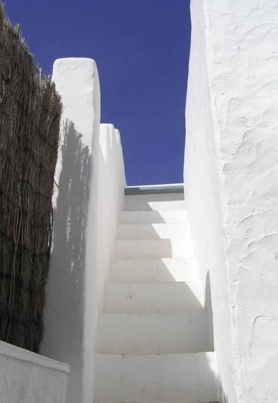 Terrace / Balcony