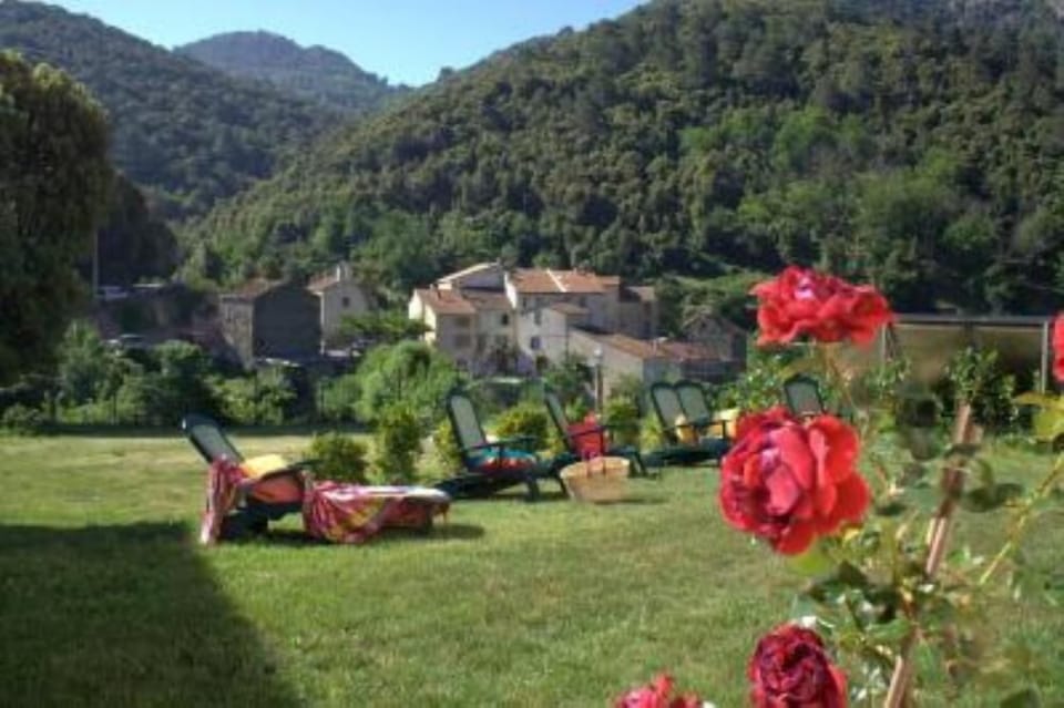Garden, Park