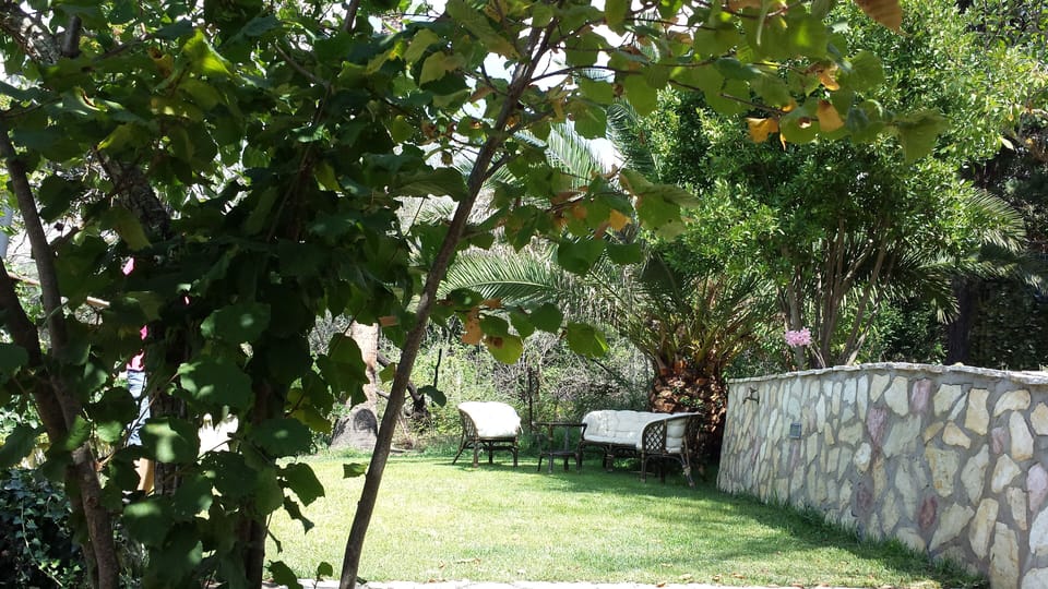 Lawn