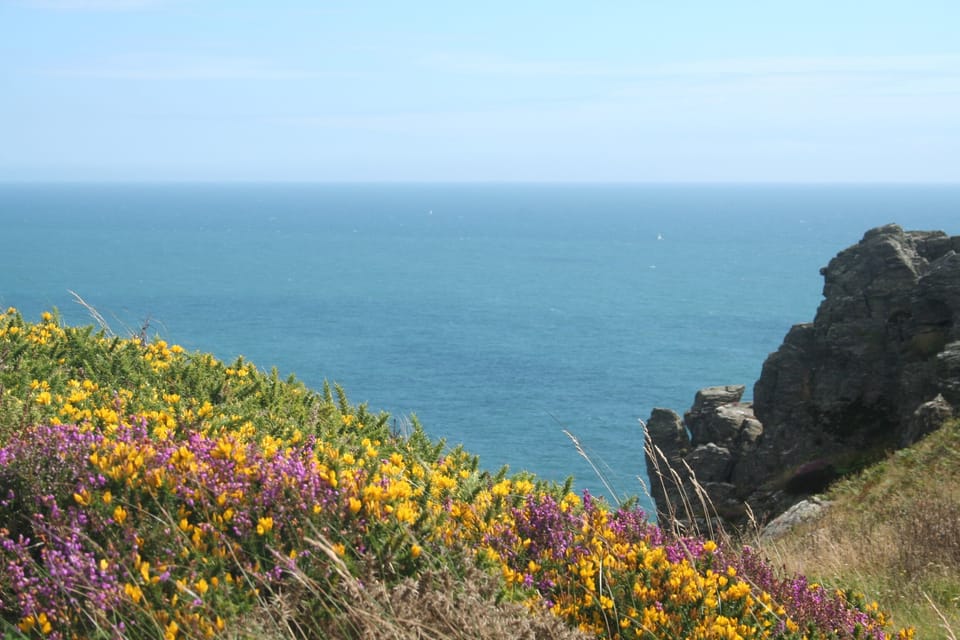 Scenic coastal walks near Bolt Head - 2 miles