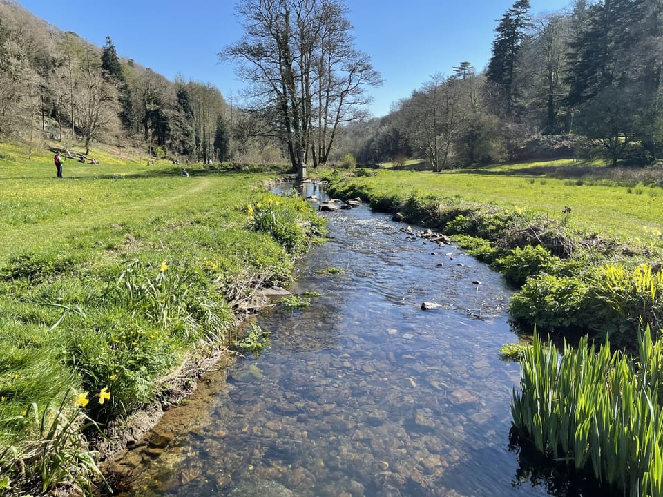 Colby Woodland Garden 