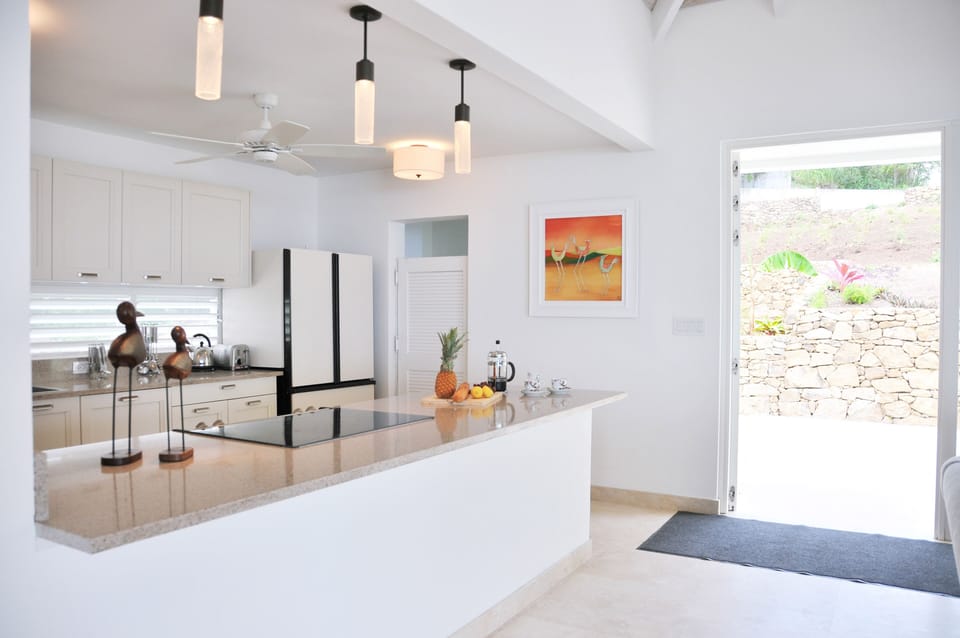 kitchen with access to rear patio