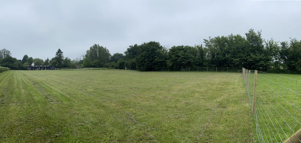 Lots of room for children and dogs to play safely 