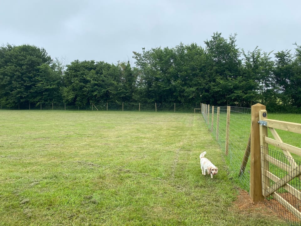 Our fully enclosed 2 acre private dog friendly garden/field