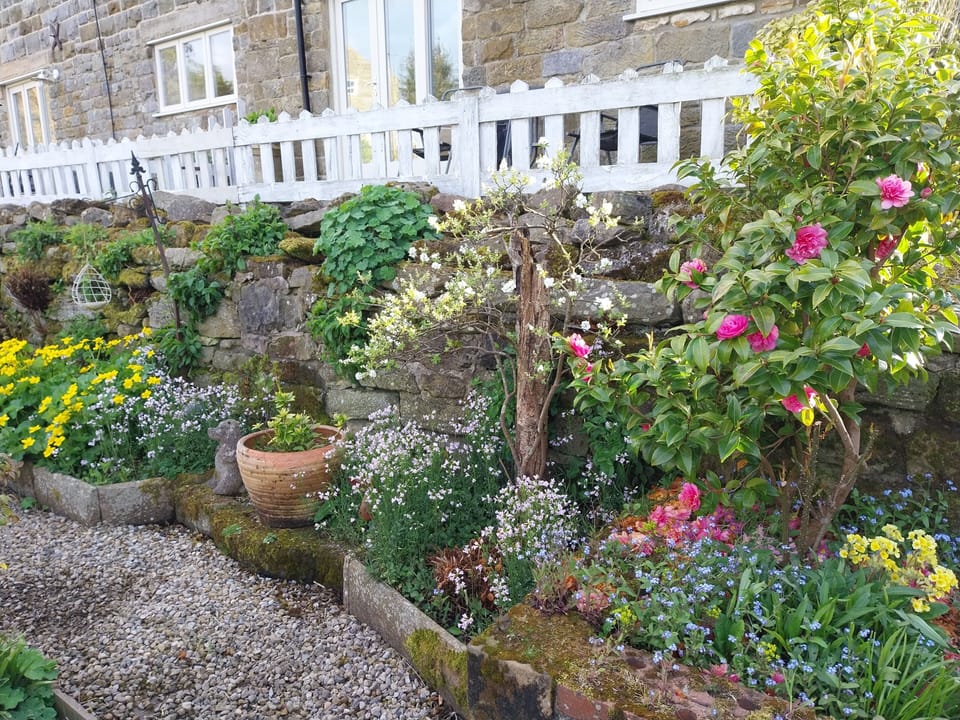 Spring Cottage Garden