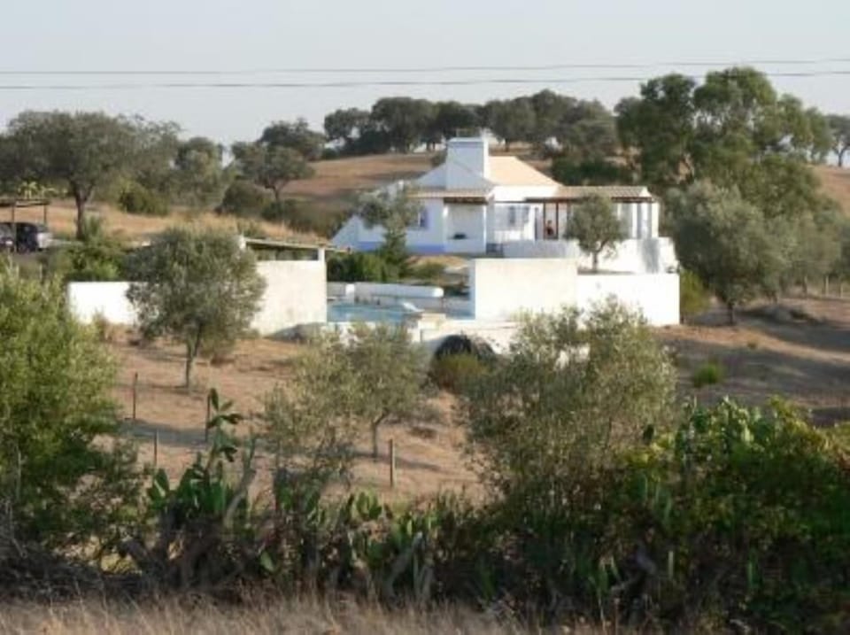 Praia da Costa alentejana