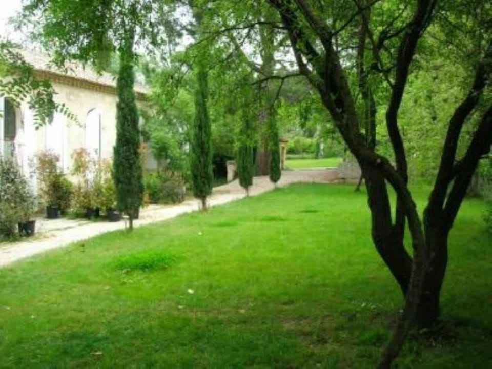 Garden, Park