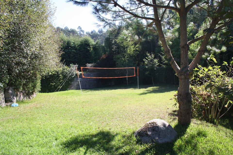 campo voleibol