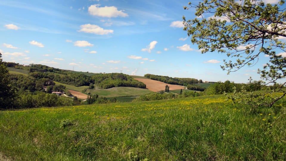 View from the road next to the house