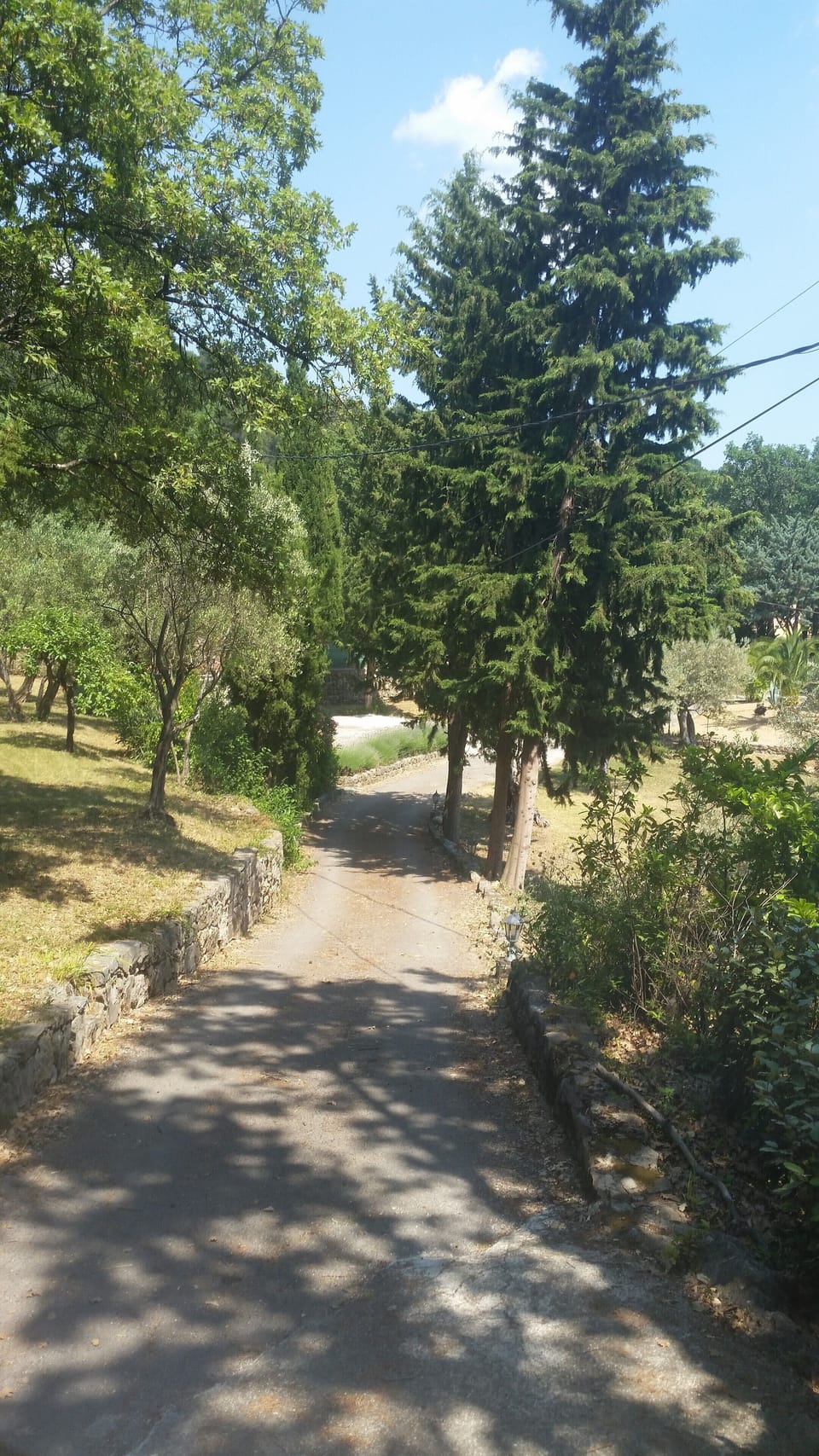 Driveway