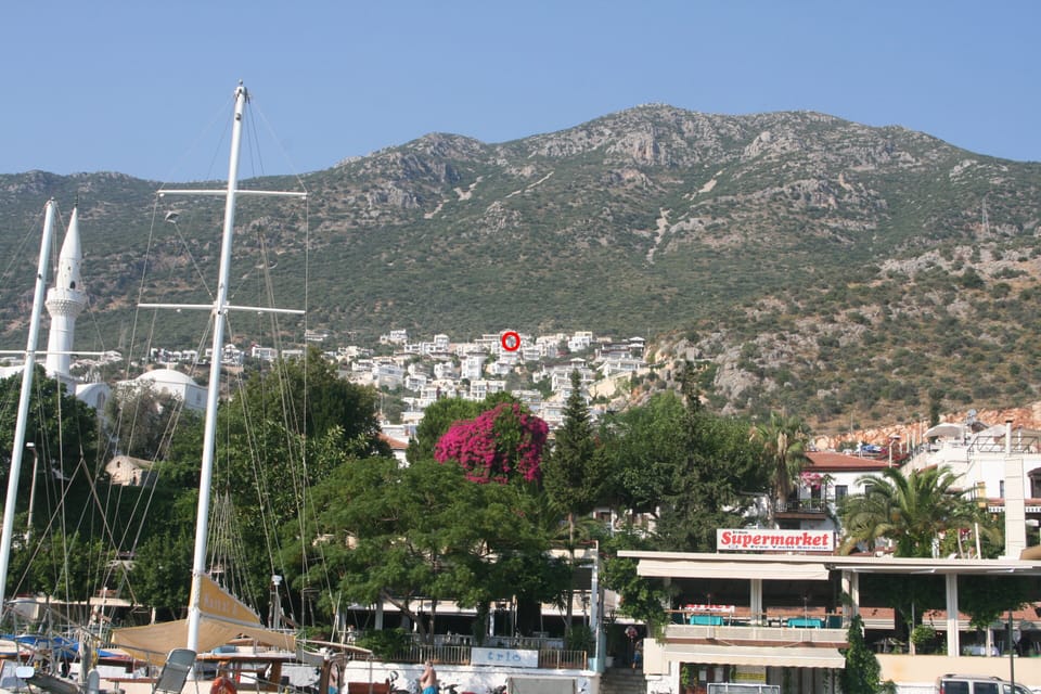 Location above harbour ( marked by red dot)
