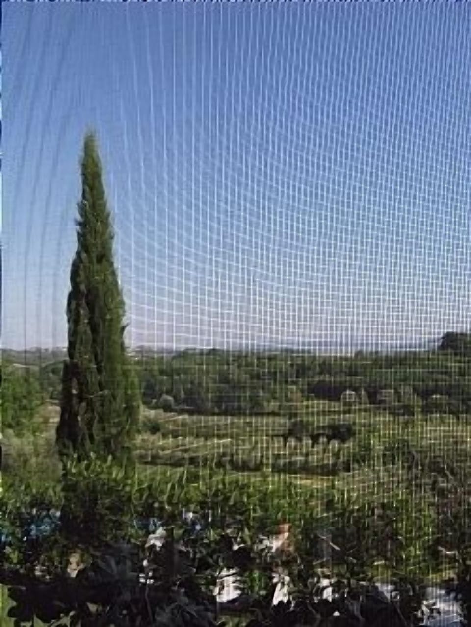 View Through (fly screens) of Lounge Window