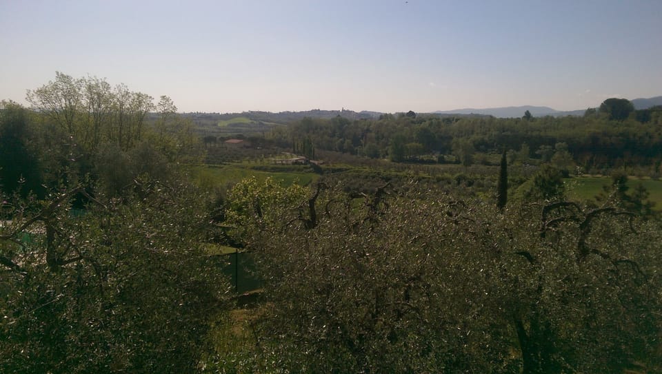 view with swimming pool to the left of the picture