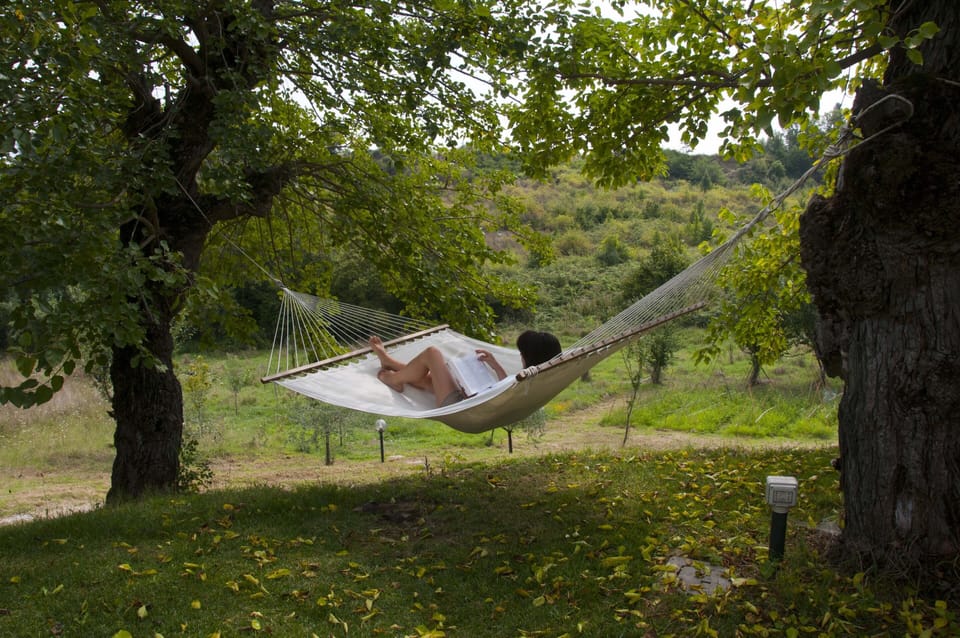 relaxing uder the mulbury shade
