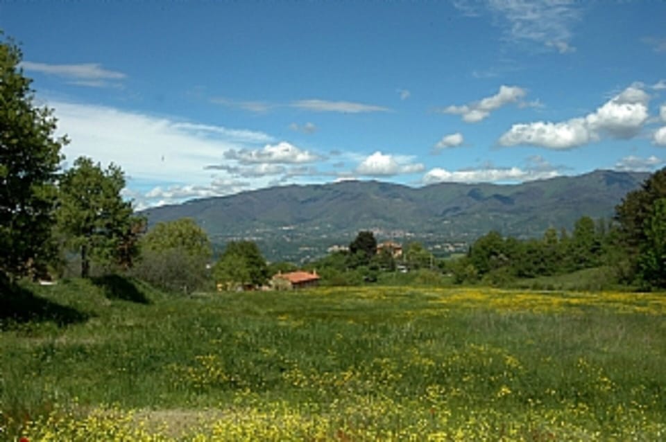 our property surrounding the farmhouse 