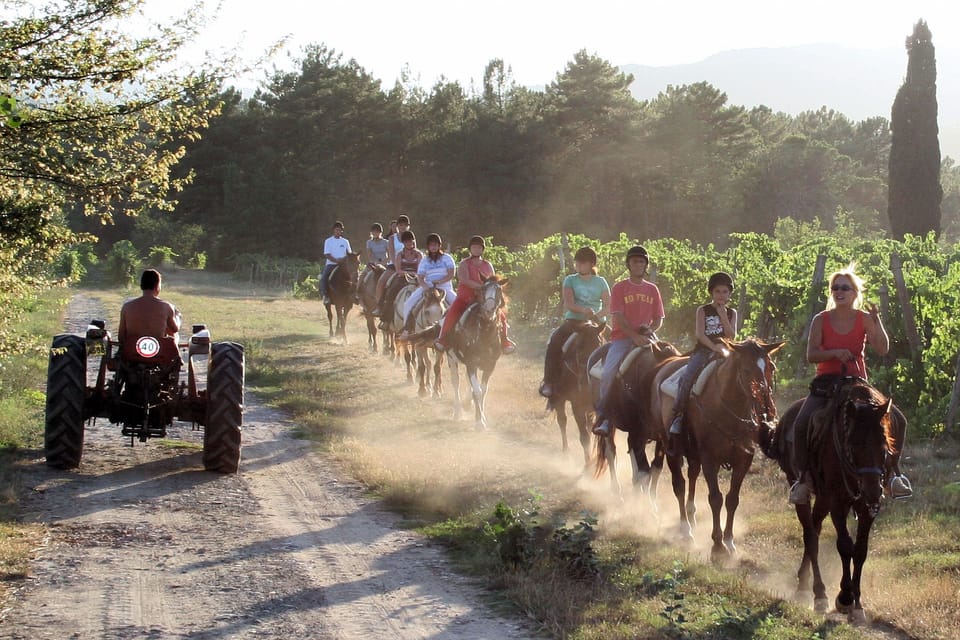 Book a horse ride through the vineyards 