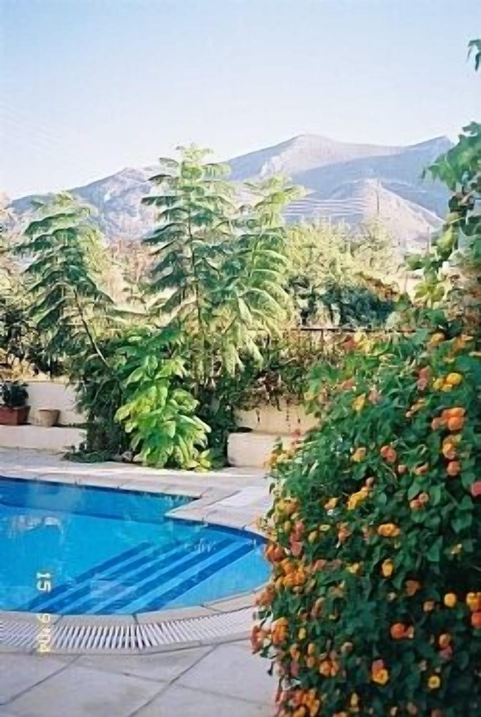 View over pool to mountains