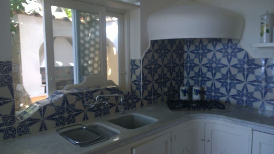Fully equipped kitchen with oven, dishwasher, and back garden with pizza oven