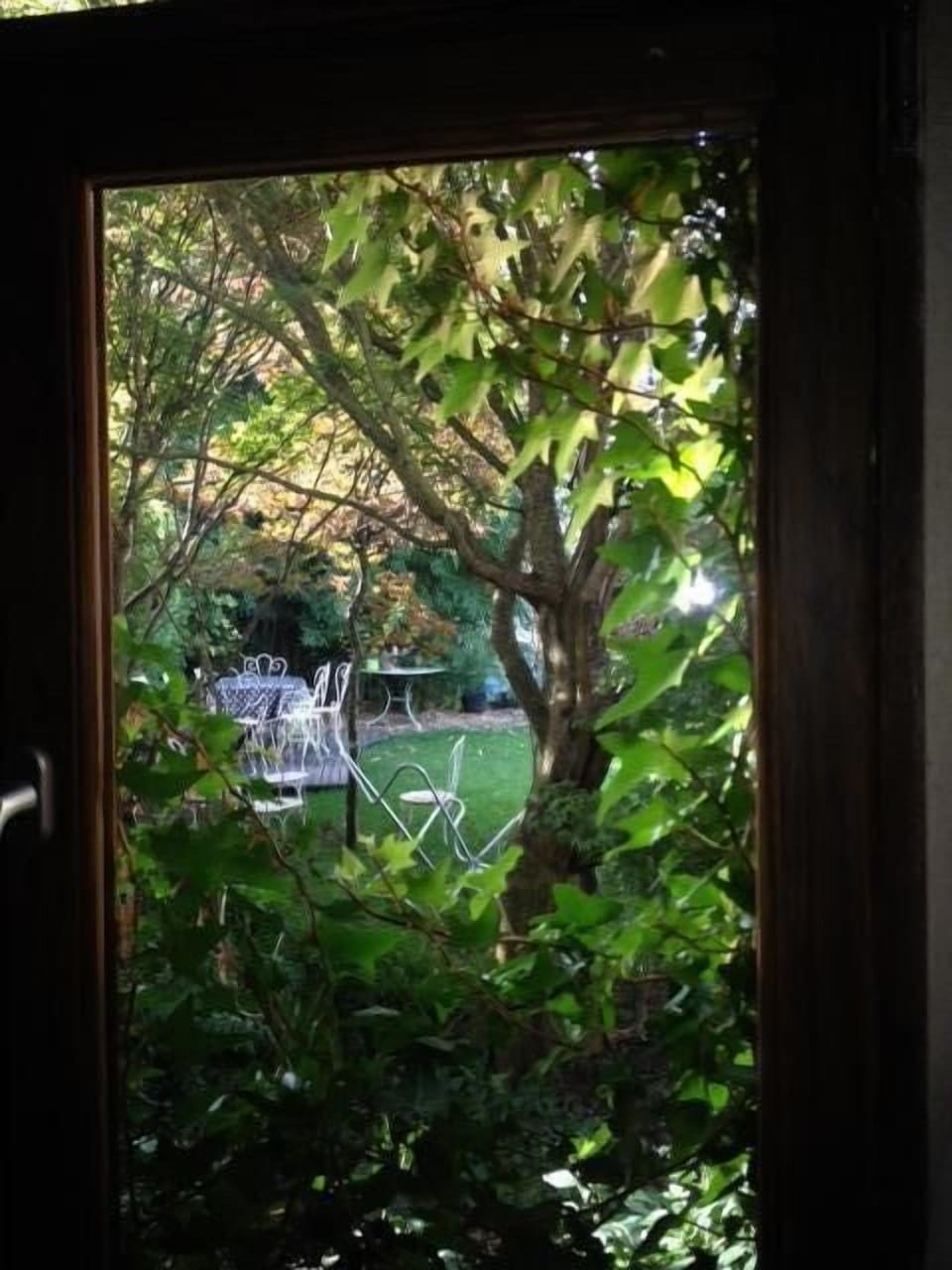 View fron the kitchen to the garden