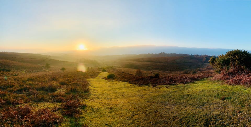 10 minutes from the house