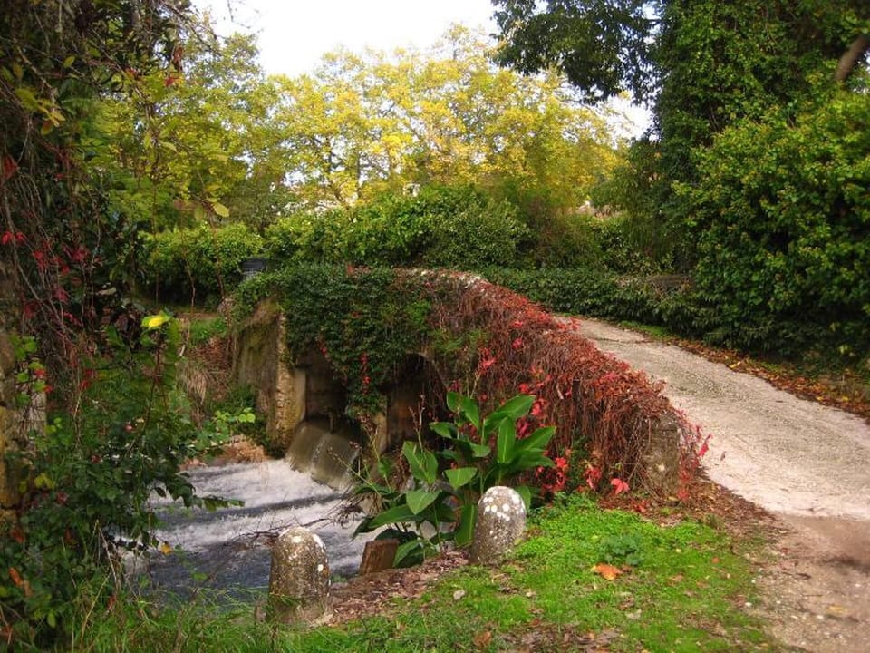 Local walks