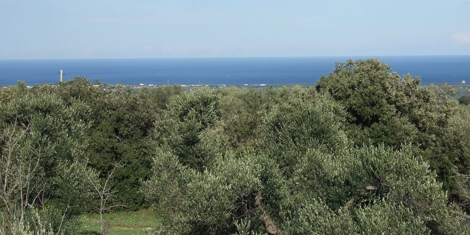 Adriatic Sea View