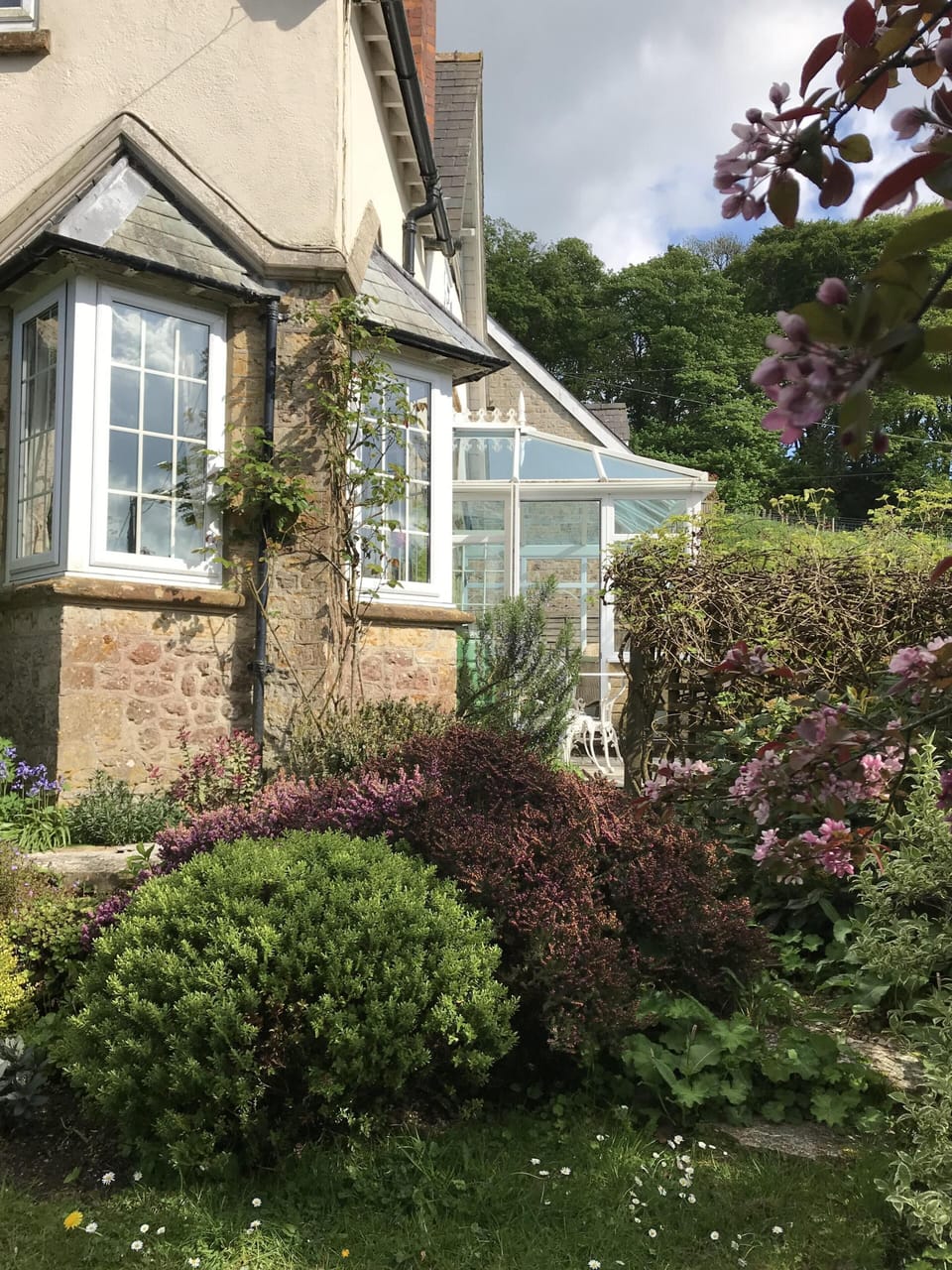 Conservatory from garden.