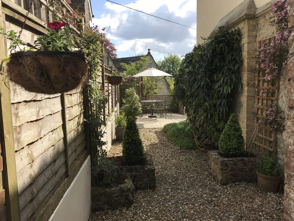 Back garden and patio