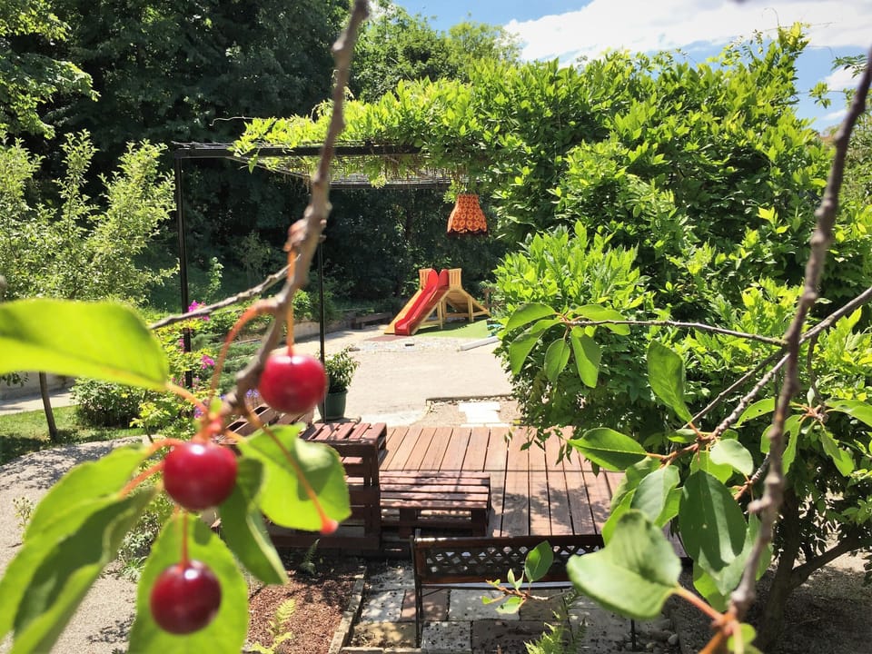Green Dream garden