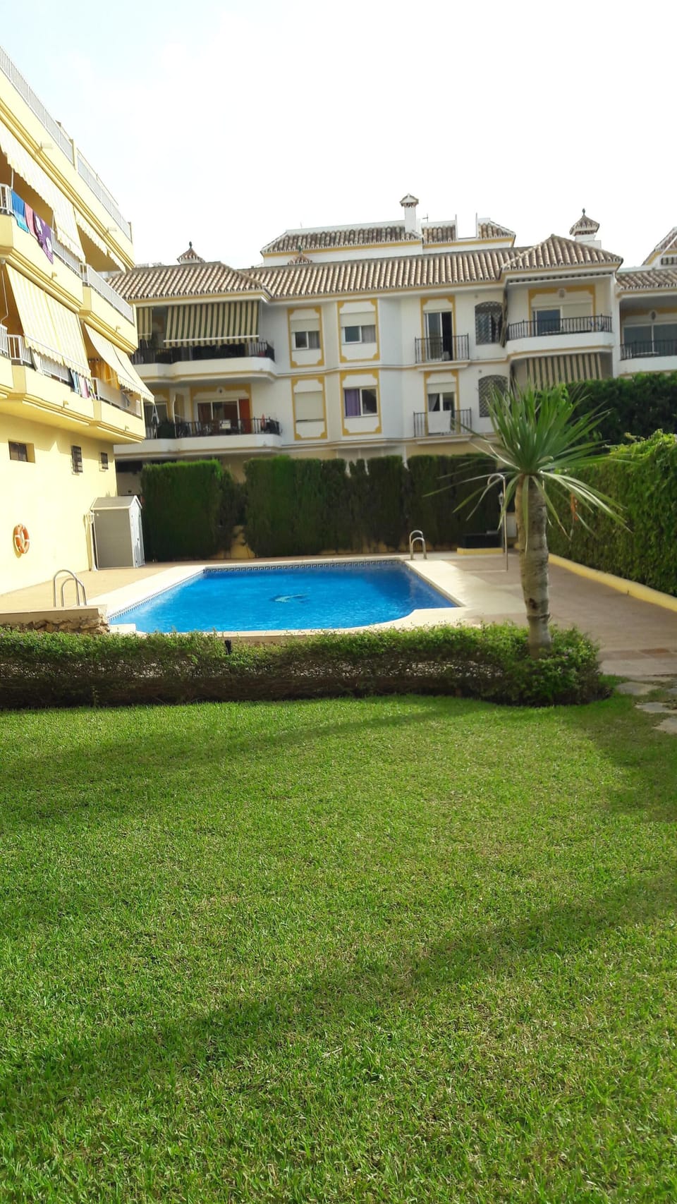 Garden & pool

