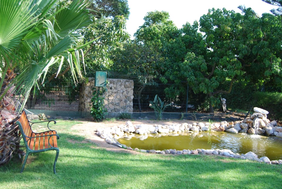 Pond and Garden
