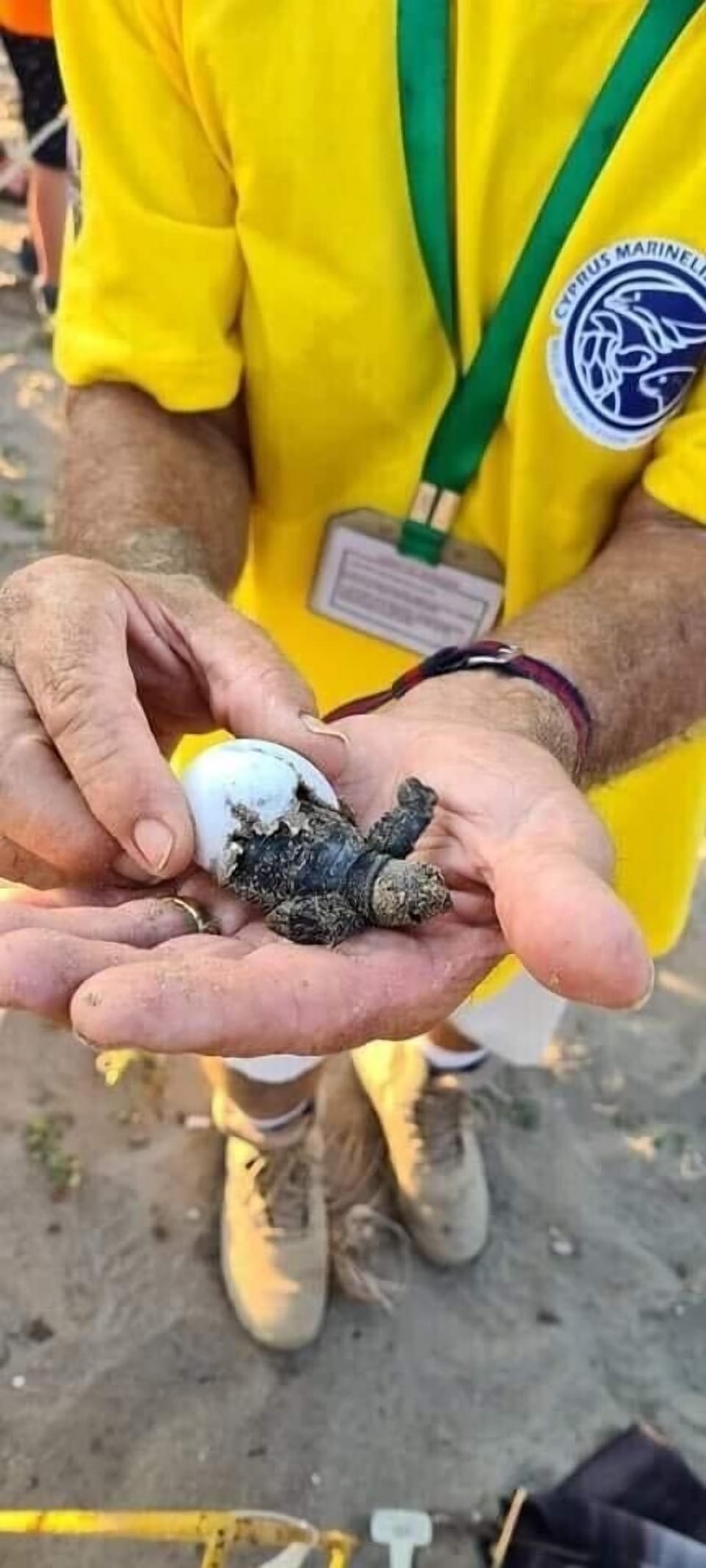 Karsiyaka turtle watch & release, 5 minutes from villa. Non profit organisation.
