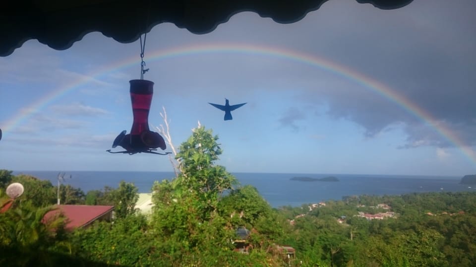 View from property