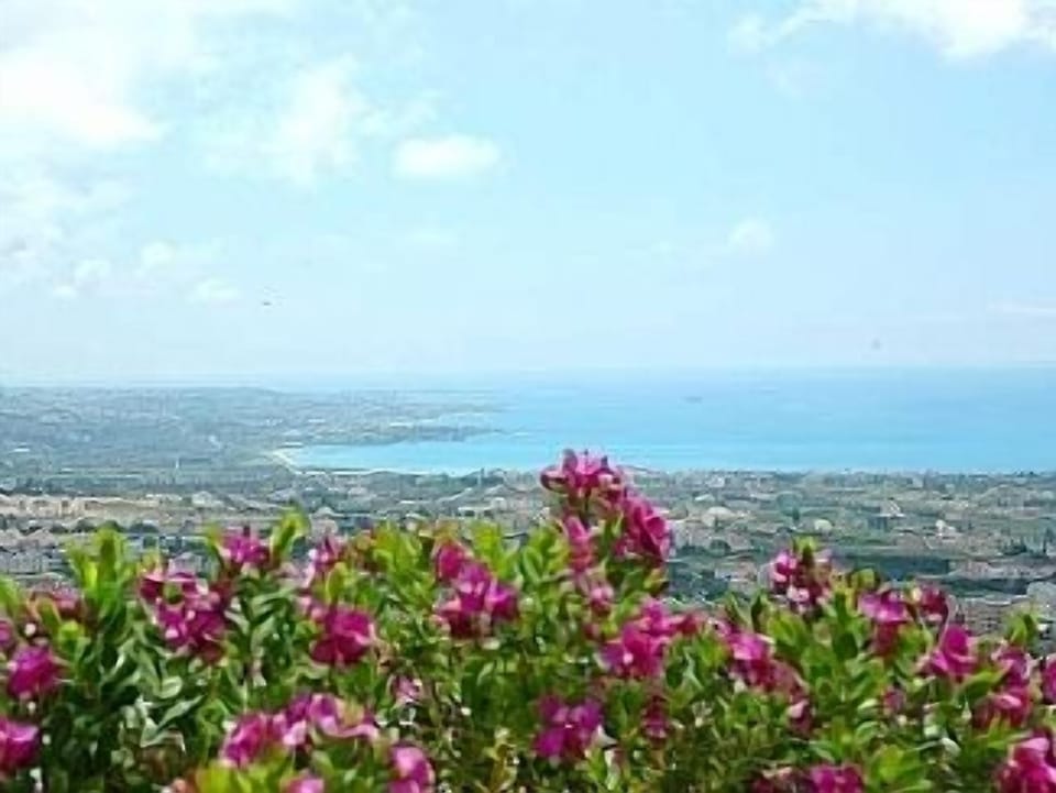 View from the Garden