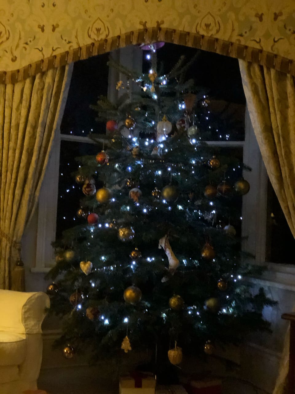 Merry Christmas 
