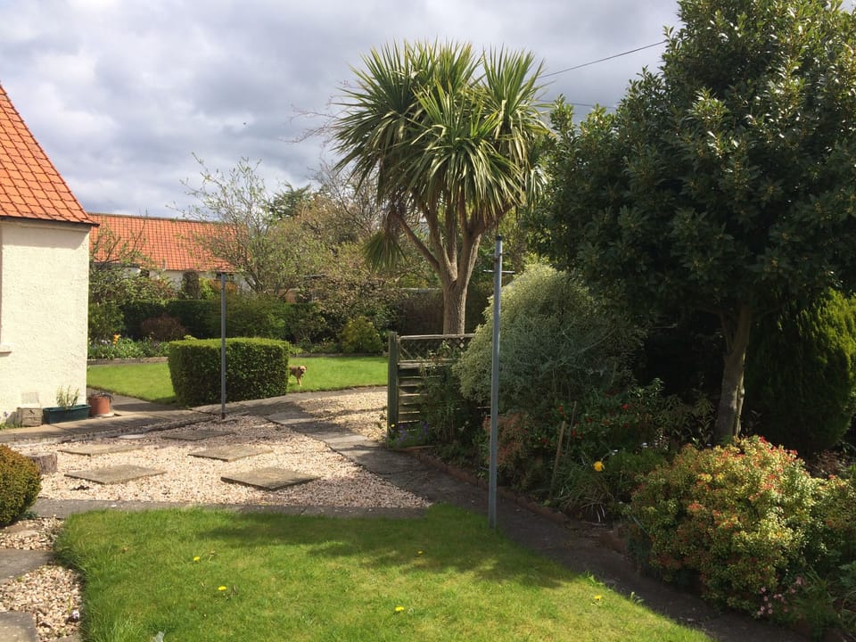 The side garden