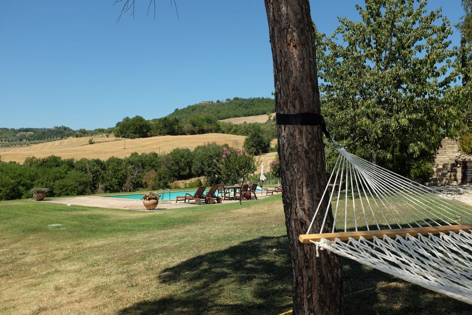 View from hammock to pool