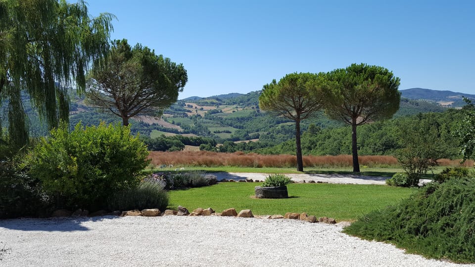 Driveway and main view