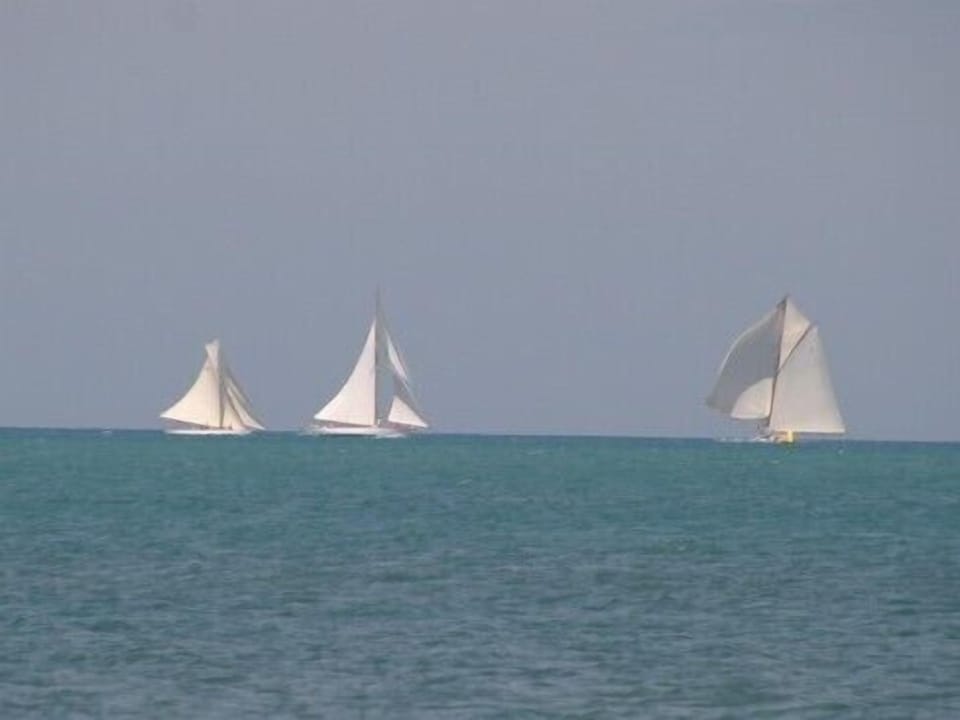 Classic yachts regatta