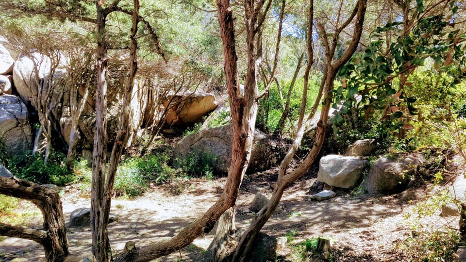 Huge backyard creates a private space behind the house. Now let's go inside!
