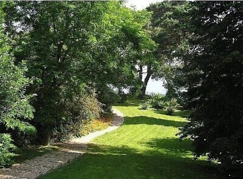 Lovely wooded garden where you can sit privately to watch the red squirrels play